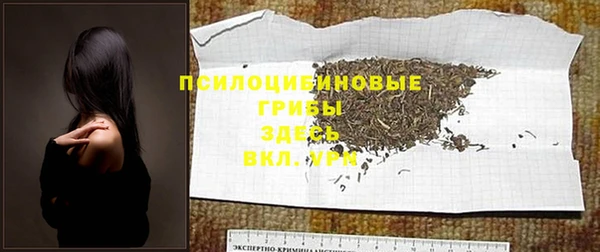 твердый Кукмор