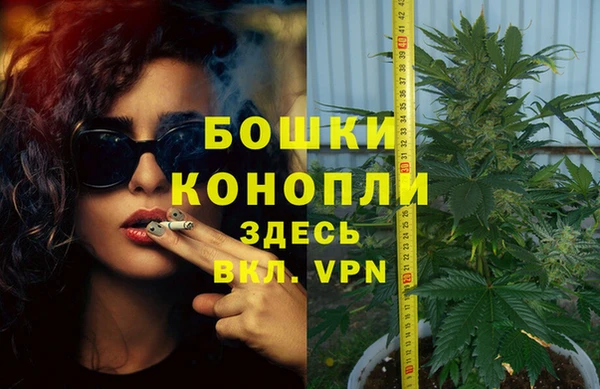 молекула духа Кулебаки