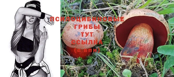 молекула духа Кулебаки