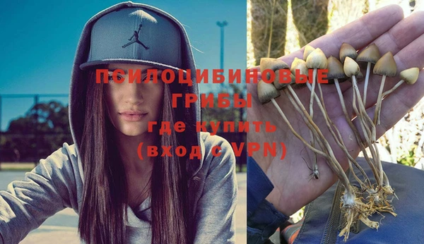 крисы Куйбышев