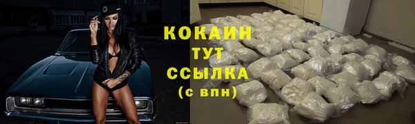 молекула духа Кулебаки