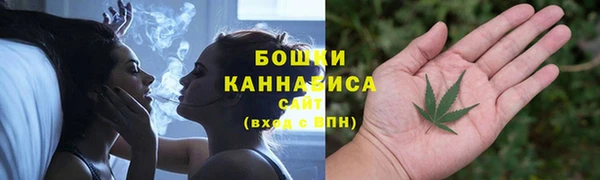 молекула духа Кулебаки