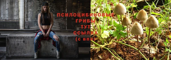 крисы Куйбышев