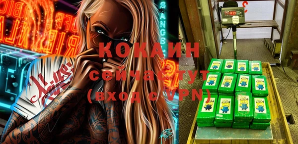 крисы Куйбышев
