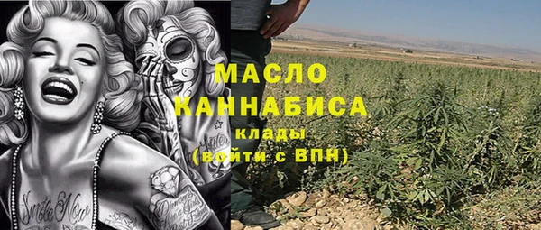 молекула духа Кулебаки