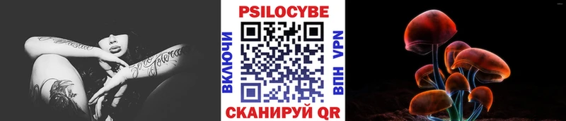 ОМГ ОМГ маркетплейс  Железногорск-Илимский  Псилоцибиновые грибы мухоморы  цена  